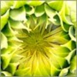 abundance