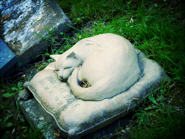 Cat Gravestone