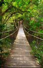 The bridge