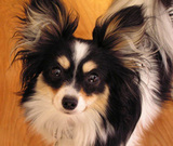 Agnes