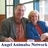 AngelAnimals