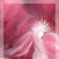 Free Angel Oracle Card On-Line Readings