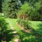 Backyardwithin