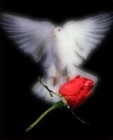 bawitnesstoo@yahoo.com