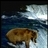 bigbear6161