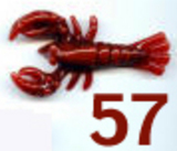 57