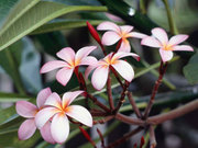 Test 2