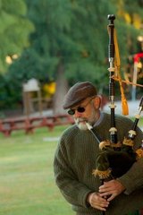 Bodhi_piper