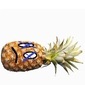 BrokenPineapple