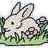 bunny_here