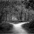Choose Your Path