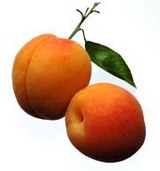damasco
