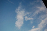 Dawn