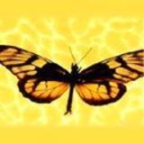 maduras colombianas follandovideos