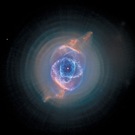 Cosmos