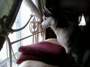My BFF Echo