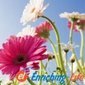 Enriching_life