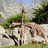 GiraffeCrazy