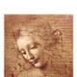grace7