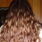Owner Avatar