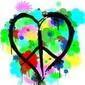 Hippiechk311