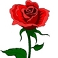 Iqbalmayah