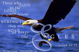 jerseygal4
