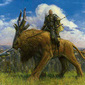 Kabirian_wanderer