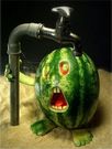 FOOD ART