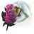 lLady_Karen