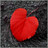 lucky*angel