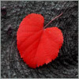 Michelle_b
