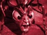 MsMarchHare