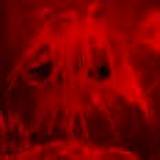 nomoxian