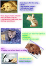 For Animal Lovers