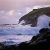 oceanrose13
