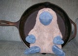 plaidypus