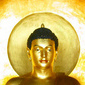 Practicing Buddhism