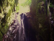 Rapelling an 80 foot waterfall in the Puerto Rico rainforest
