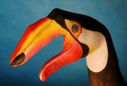 Hand painting illusions
