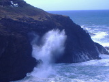 SeashellNancy