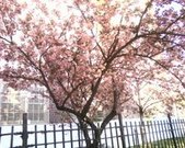 I love this pic I took near my old middle school