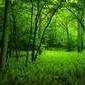 Seres