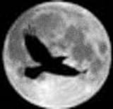 seventhcrow