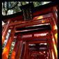 Chie no Michi Jinja