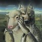 Sistermadwolf