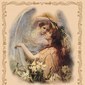 Starlite_graces
