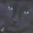 Sylph
