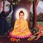 Buddhism Q&A