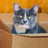 Thomasina